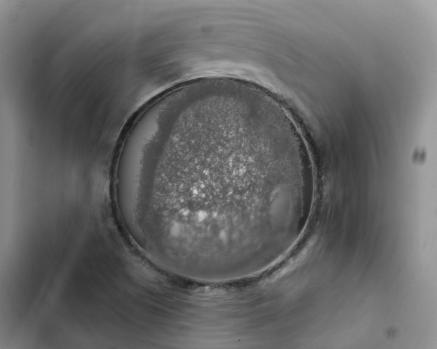 X0000102771505200808251040