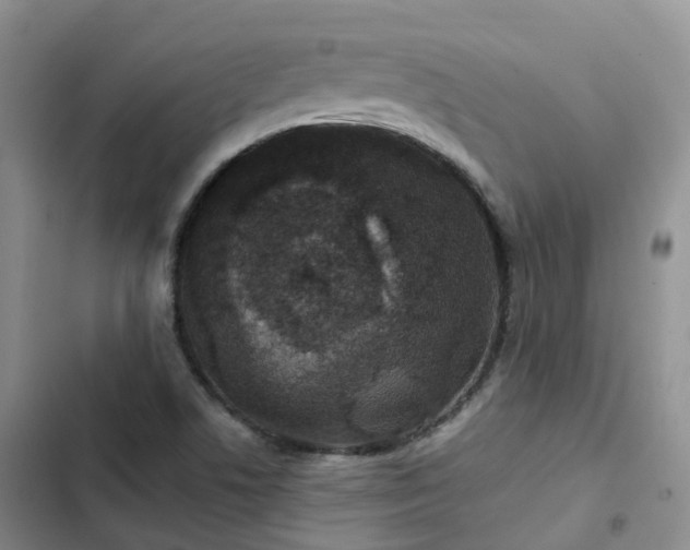 X0000102771506200808251040