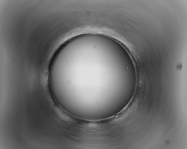 X0000102771507200808251040