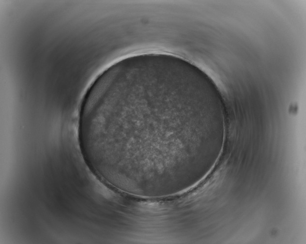 X0000102771508200808251040