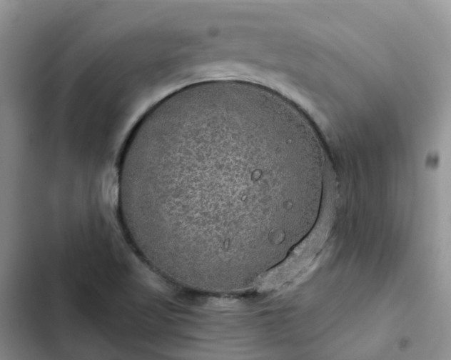 X0000102771509200808251040