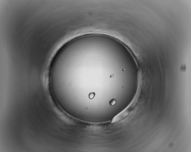 X0000102771511200808251040