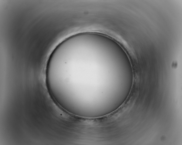 X0000102771512200808251040