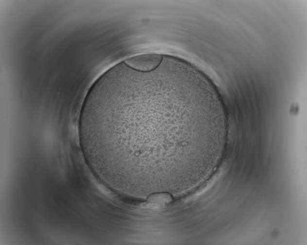 X0000102771513200808251040