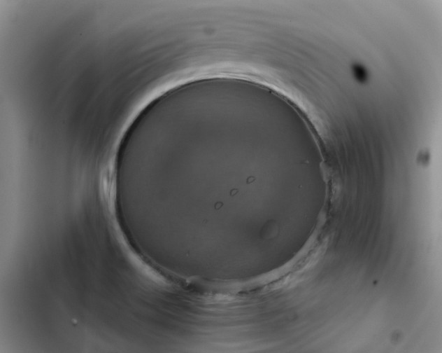 X0000102771515200808251040