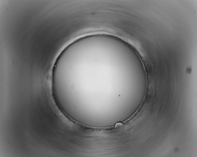 X0000102771516200808251040