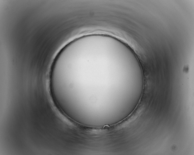 X0000102771518200808251040