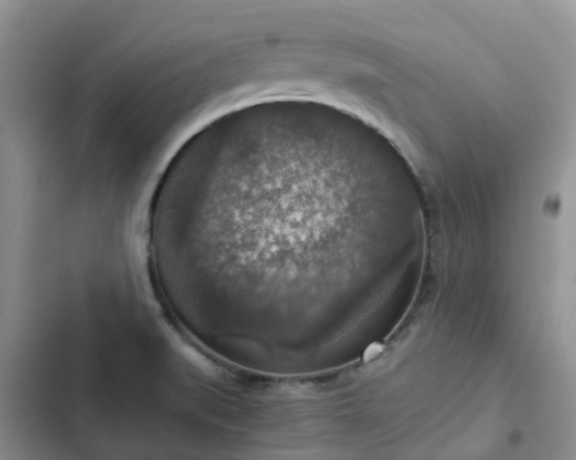 X0000102771519200808251040