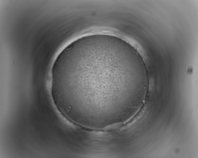 X0000102771520200808251040