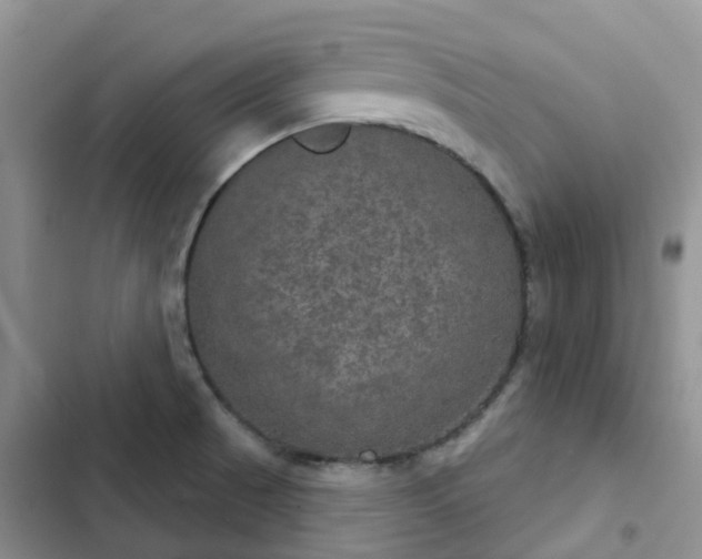 X0000102771521200808251040