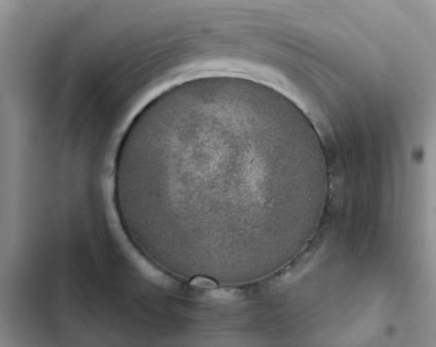 X0000102771523200808251040