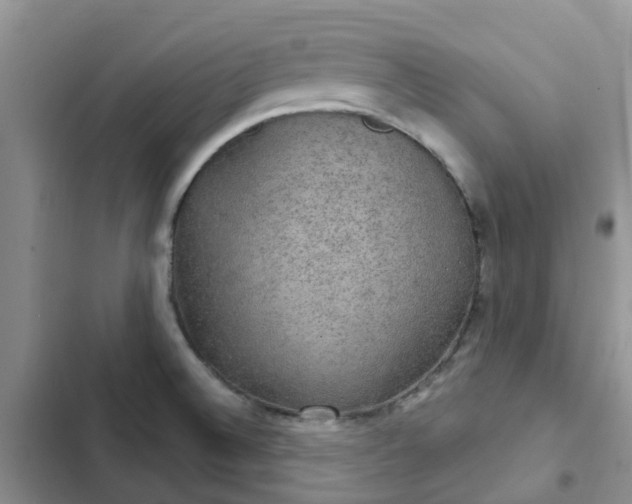 X0000102771524200808251040