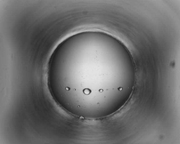 X0000102771526200808251040