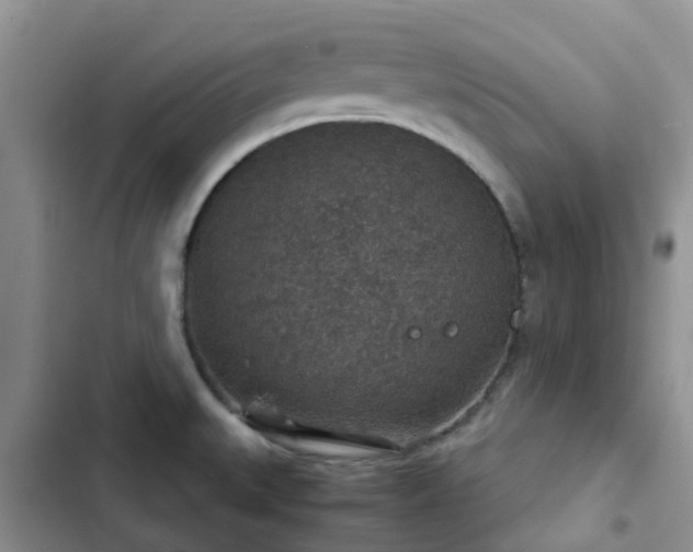 X0000102771527200808251040