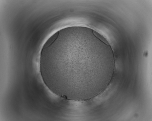 X0000102771528200808251040