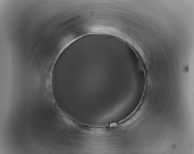 X0000102771529200808251040