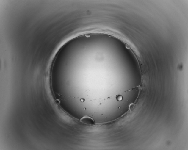 X0000102771530200808251040