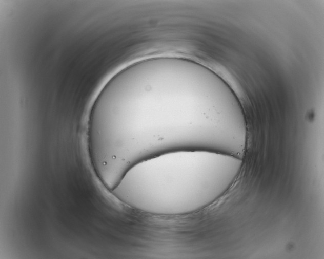 X0000102771532200808251040