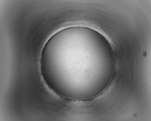 X0000102771534200808251040