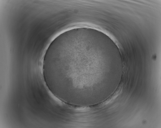 X0000102771535200808251040