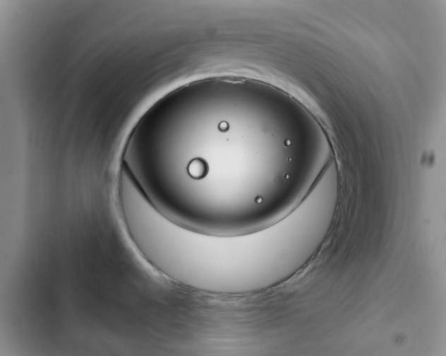 X0000102771536200808251040