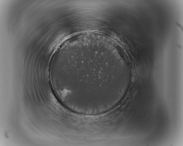 X0000102770002200809021040