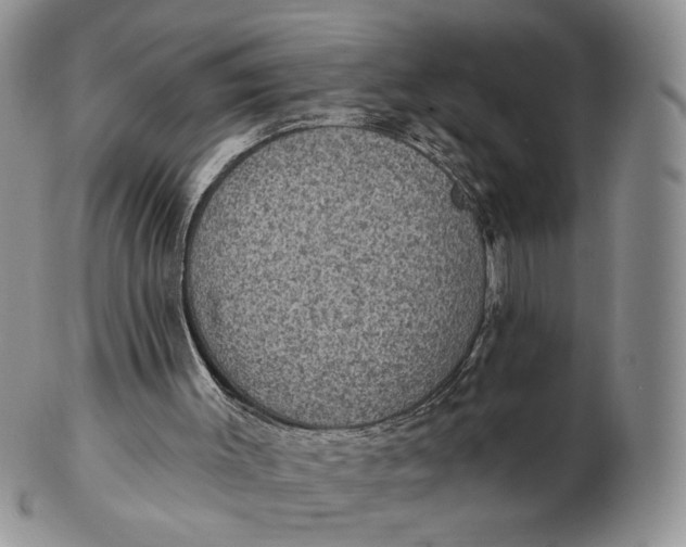 X0000102770003200809021040