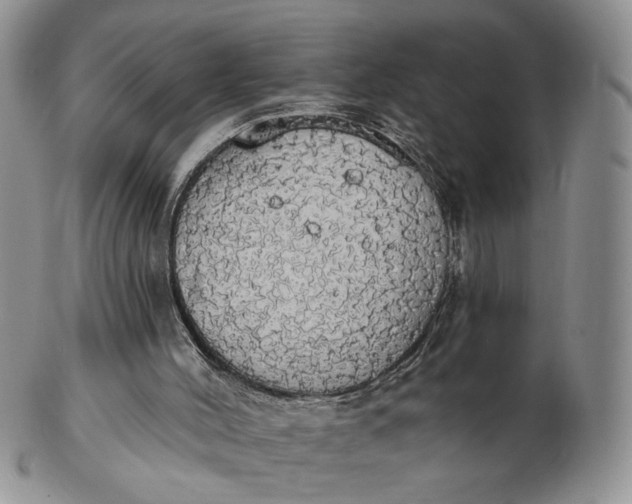 X0000102770004200809021040