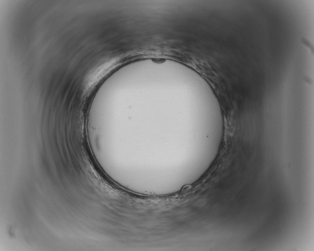 X0000102770005200809021040