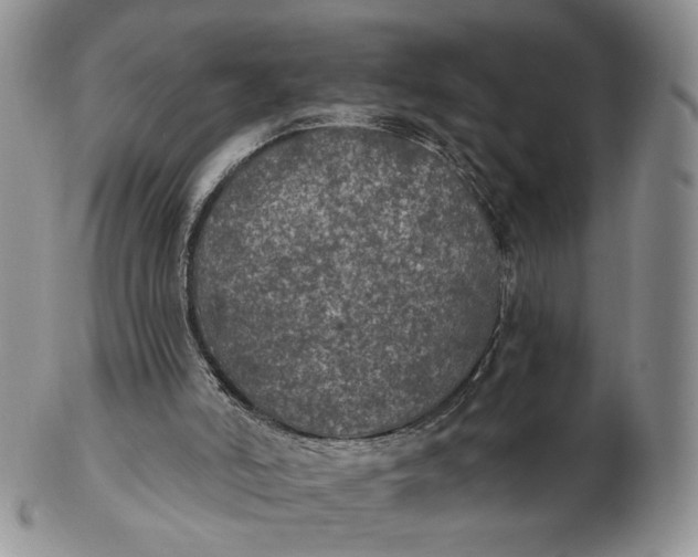 X0000102770006200809021040