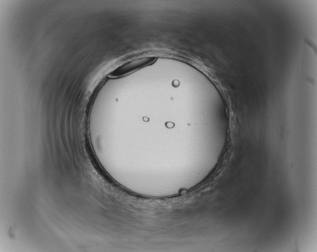 X0000102770007200809021040