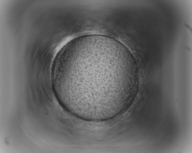 X0000102770008200809021040