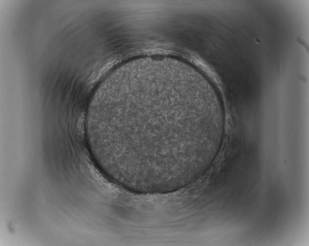 X0000102770009200809021040