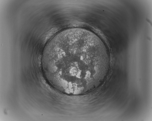 X0000102770010200809021040