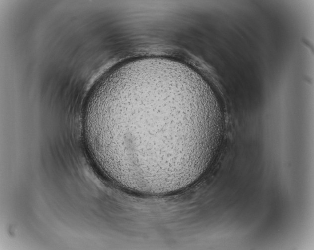 X0000102770012200809021040