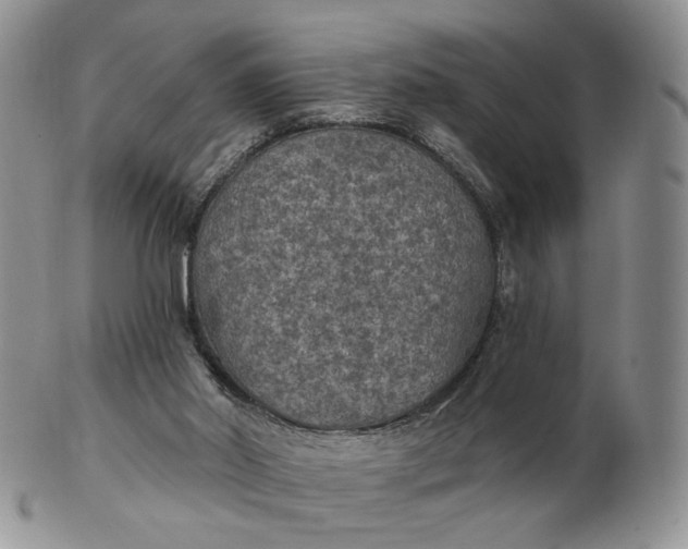 X0000102770014200809021040