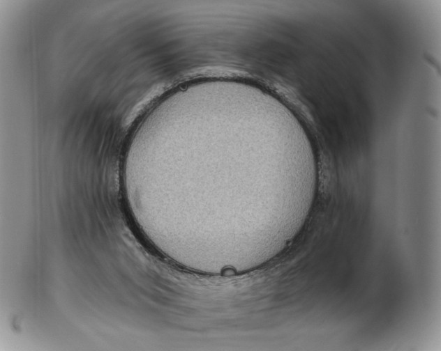 X0000102770015200809021040