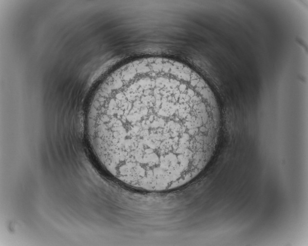 X0000102770016200809021040