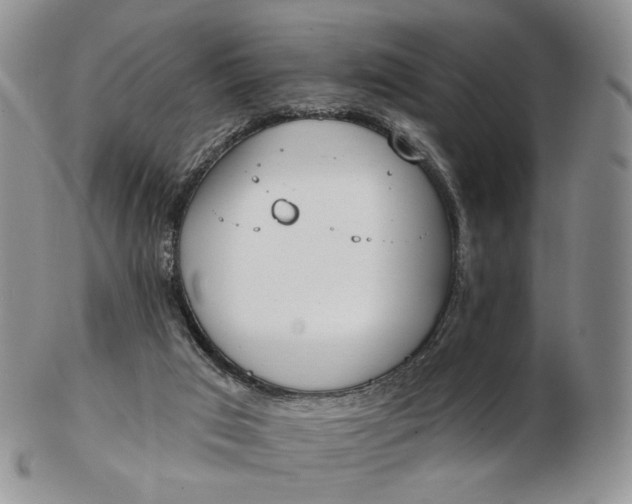 X0000102770017200809021040