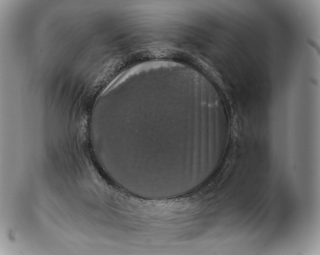 X0000102770018200809021040