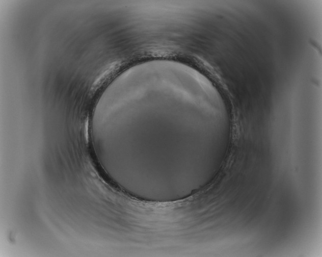 X0000102770019200809021040