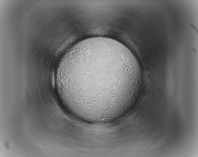 X0000102770020200809021040