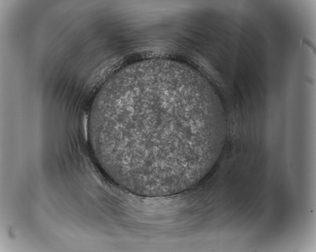 X0000102770022200809021040