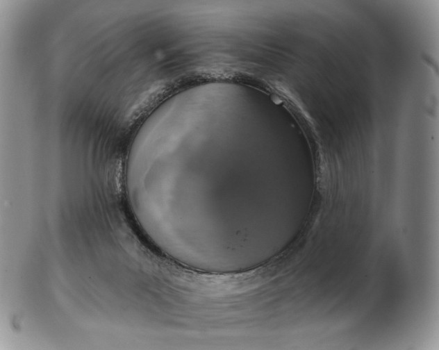 X0000102770023200809021040