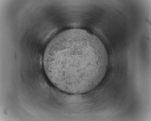 X0000102770024200809021040