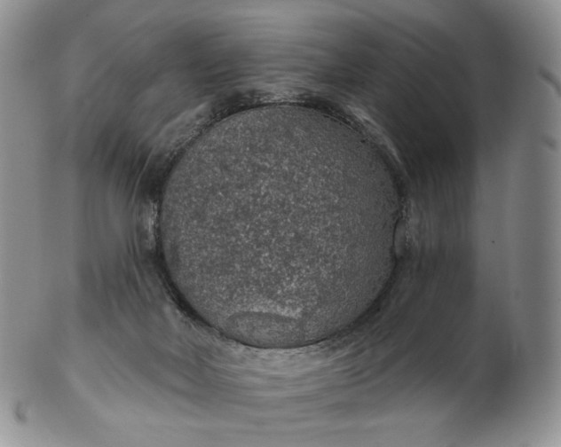 X0000102770026200809021040