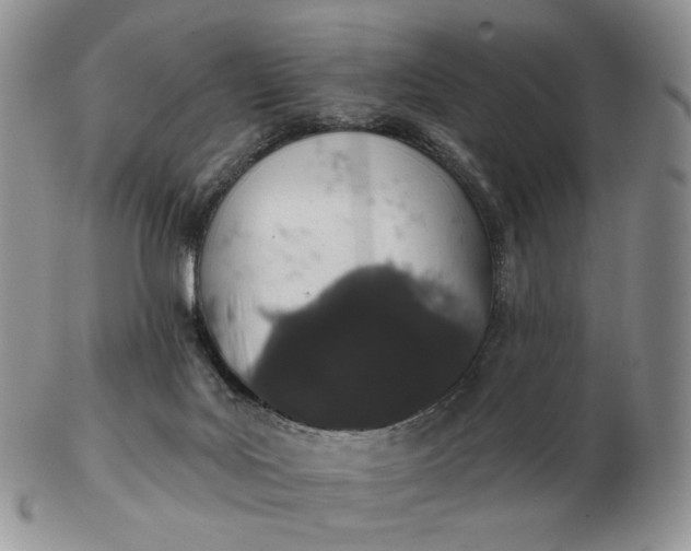 X0000102770027200809021040