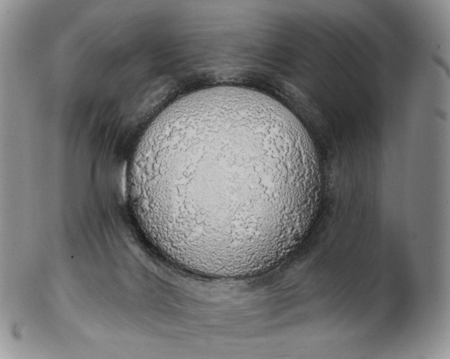 X0000102770028200809021040