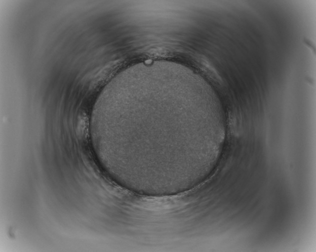 X0000102770029200809021040