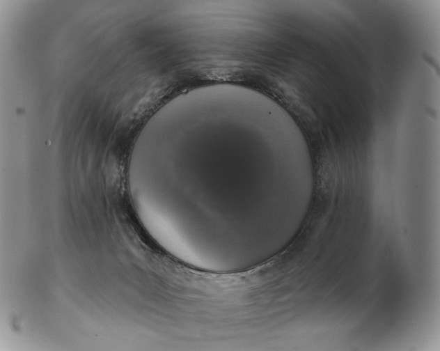 X0000102770031200809021040